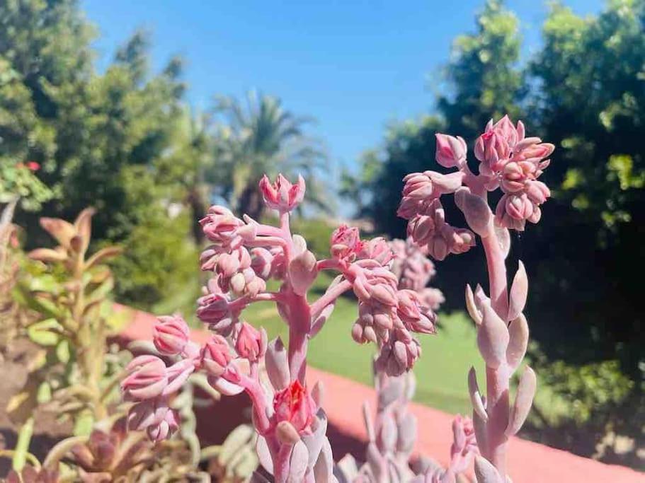 Casa De 3 Plantas, Con Jardin Y Vistas Al Golf Hébergement de vacances Benalmádena